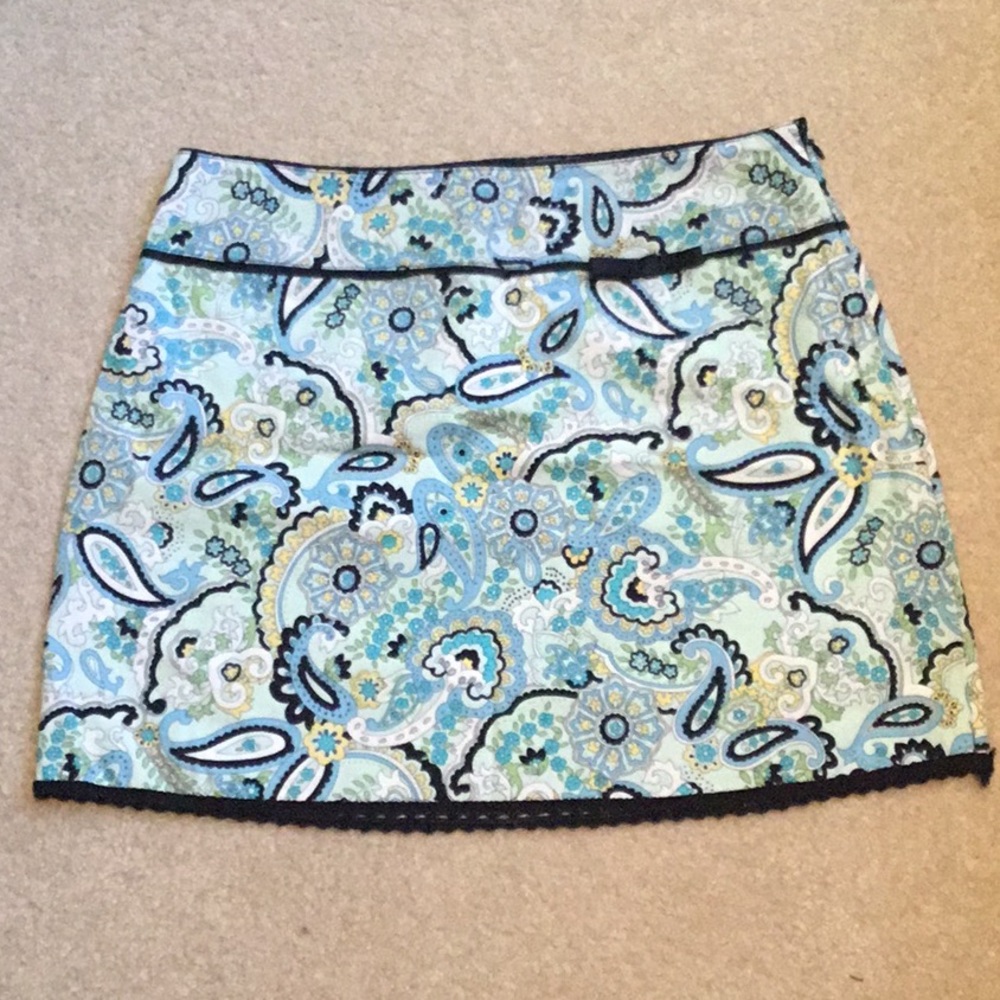 The Limited Skirt Size 2